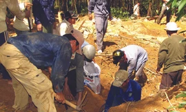 Cày nát núi đồi vì tin đồn trúng vàng khối