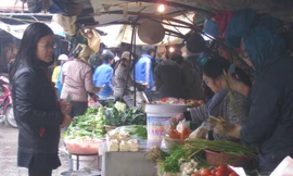 Nhiều bà nội trợ tần ngần trước cửa hàng rau