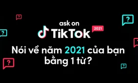 Lướt TikTok mỗi ngày nhưng bạn có chắc "nằm vùng" hết loạt xu hướng này?