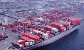 Bắt Chủ tịch Cty Container quốc tế CAS