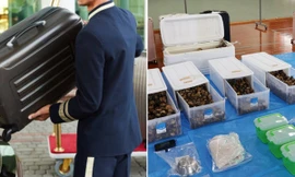 Nhật Bản: Vali của khách ở khách sạn có âm thanh lạ, bên trong rất bất ngờ