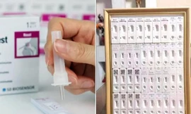 Anh chàng người Thái Lan đóng khung 39 khay test nhanh thành “tác phẩm nghệ thuật”