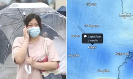 Có gió Đông Bắc nhưng không đáng kể, Hà Nội mưa ẩm cả hai ngày cuối tuần