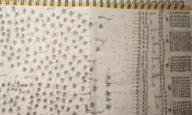 Cậu học sinh ở Đài Loan học tập bết bát, mẹ lục cặp kiểm tra thì thấy hình vẽ quá bất ngờ