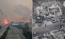 Hình ảnh vệ tinh trước và sau cháy rừng ở Hawaii: Cảnh quan rực rỡ nay chỉ còn lại tro bụi