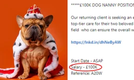 Gia đình tỷ phú tìm người chăm sóc cún cưng với mức lương 3 tỷ đồng/năm