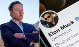 Diễn biến oái oăm trên Twitter sau thông báo thu phí "tick xanh", Elon Musk cũng không ngờ tới