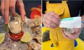 Dịp lễ hội hay bị ăn trộm hàu, bác nông dân nuôi hàu ở Pháp nghĩ ra cách bắt trộm cực đỉnh