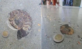 Sự thật về những hình trang trí bí ẩn bên ngoài trung tâm thương mại Siam Square ở Bangkok