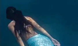 Các nhà khoa học Nhật bắt đầu điều tra “nàng tiên cá cổ đại có thể giúp con người bất tử”