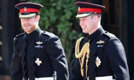 Anh em William - Harry sẽ cùng tham gia một chương trình, nhưng không có Kate và Meghan