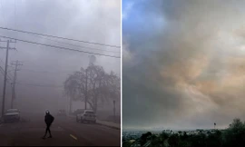 Tại sao có chất kịch độc như Xyanua trong khói cháy rừng ở Los Angeles?