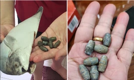 Mua cá về làm món ăn ngày Tết, không ngờ tìm thấy 7 viên chì nặng 100g bên trong