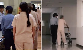 Cụ bà ở Nhật Bản cố ý vi phạm pháp luật để có “cuộc sống ổn định” trong nhà giam
