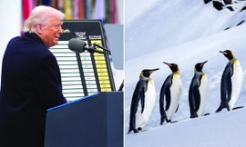Tại sao Tổng thống Mỹ Trump dự định áp thuế ở cả quần đảo chỉ có chim cánh cụt?
