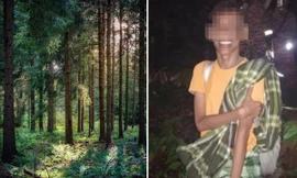 Không chịu được áp lực công việc, nam nhân viên bỏ trốn vào rừng sống