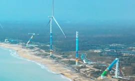 Các trang trại gió ở Trung Quốc đứng vững trong bão Yagi, chỉ một bị tàn phá