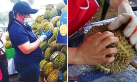 Sầu riêng “nhúng thuốc” là nhúng vào chất gì, ăn vào có nguy cơ gì không?