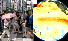 El Nino có cường độ mạnh và sắp đạt đỉnh điểm, ảnh hưởng thời tiết tháng tới thế nào?