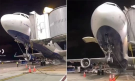 Sự cố chưa từng có tiền lệ: Máy bay "bập bênh", đuôi đập xuống đất, đầu hất lên trời