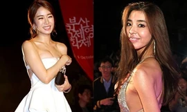 Sao gợi cảm tại liên hoan phim Busan lần 16