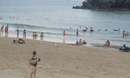 Dự án cảng biển tỷ đô có gây ô nhiễm?