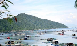 Tỉnh thừa nhận sai sót