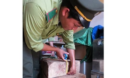 Đề nghị cách chức giám đốc VQG Phong Nha - Kẻ Bàng