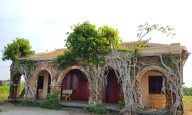 Ngôi đình 100 tuổi 'độc nhất vô nhị' ở miền Tây có 2 cây bồ đề mọc trên mái 