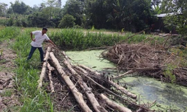 Lộ nguyên nhân nữ MC xinh đẹp bị sát hại dã man