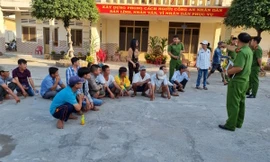 Đột kích trường gà chiều 29 Tết, tạm giữ hàng trăm triệu đồng