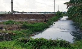 Gây ô nhiễm nghiêm trọng, một doanh nghiệp ở Sóc Trăng bị phạt 1,3 tỷ đồng