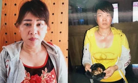 Khởi tố hai người phụ nữ dàn cảnh đánh ghen cướp vàng