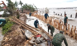 Mưa lớn làm sạt lở 2 đoạn đê quốc phòng ở Kiên Giang 