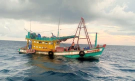 Kiểm điểm trách nhiệm Chi cục trưởng thi hành án sai phạm ở Kiên Giang