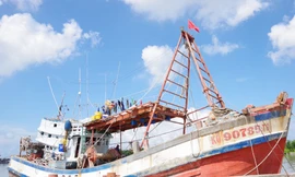 Một ngư dân 23 tuổi bị bắn chết trên biển