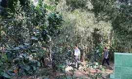 Khu vực xảy ra vụ việc