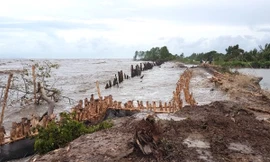 Kiên Giang công bố tình trạng sạt lở đê biển nghiêm trọng
