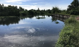 Khu công nghiệp lớn nhất tỉnh Sóc Trăng gây ô nhiễm môi trường