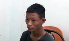 Trộm xe buýt rồi lái đâm vào lan can cầu