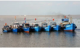 Kỷ luật sai thẩm quyền, Chi cục trưởng Thủy sản bị kiểm điểm 