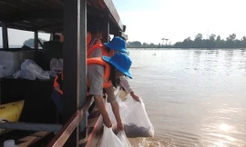 Cần Thơ thả 30.000 con cá giống để tái tạo nguồn lợi thuỷ sản