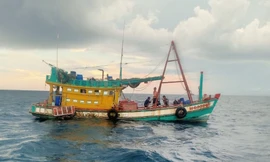 Chi cục THADS TP. Hà Tiên bị 'tố' không giao tài sản cho người trúng đấu giá