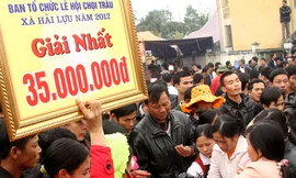 Thịt trâu chọi đắt hơn tôm tươi