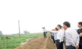 Chấm dứt vụ lùm xùm về san lấp mộ