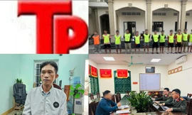 Bản tin Hình sự: Mâu thuẫn tình cảm, cô gái bị bạn trai đánh đến ngất xỉu