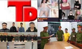 Bản tin Hình sự: Hơn 1.000 người bị lừa làm 'việc nhẹ lương cao' 
