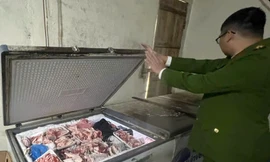 Cận cảnh 'kho' nầm, tràng, chân gà... không rõ nguồn gốc chuẩn bị đưa ra thị trường