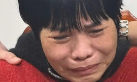 Tình mẫu tử bị ‘định giá’ bằng hợp đồng bảo hiểm: 'Ranh giới giữa người và thú đã bị xóa nhòa'