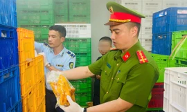 Hà Nội: Phát hiện 20 tấn gà ủ muối, nội tạng không rõ nguồn gốc